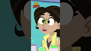 Wild Kratts Southern Stingray