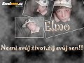 vyhledávání