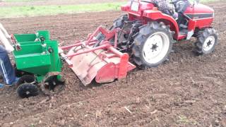 Machine planting potatoes
