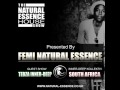 The Natural Essence House Show EP #69 - Guest Mix: Tebza Inner Deep (South Africa)