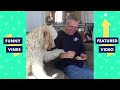 TRY NOT TO LAUGH - Funny ANIMAL Videos | January 2019