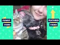 TRY NOT TO LAUGH - Funny ANIMAL Videos | January 2019