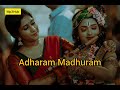 Adharam Madhuram (Slowed & Reverb)
