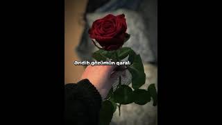 Status Üçün Gözəl Video Canım Anam