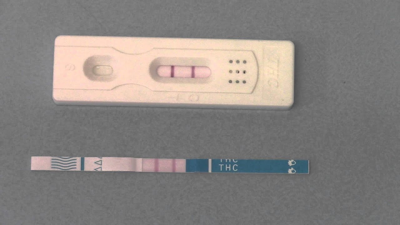 Ammonia test strip