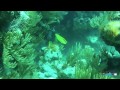 June 10, 2014 Montana and Constellation Wreck Dive With Blue Water Divers, Bermuda