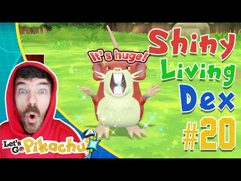 RANDOM SHINY RATICATE CATCH REACTION! Pokemon Let's GO Shiny Living Dex #20