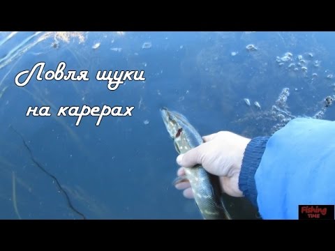 ролики о рыбалке на щуку ролики о рыбалке на щуку