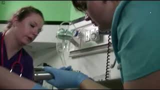 911Biomed - The List 2