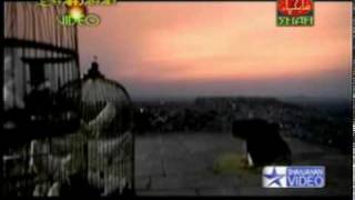 Tera Mera Rishta Roxen From The Movie Of Aawarapan
