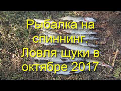 что ловить в октябре что ловить в октябре