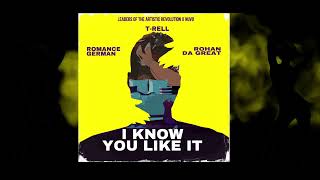 I Know You Like It - Romance German x Rohan da Great x T-Rell (Audio Visualizer)