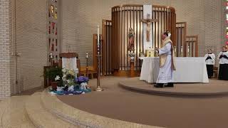 Divine Mercy Sunday