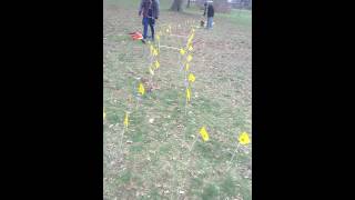 12 Week Pitbull Puppy Working Off-Leash