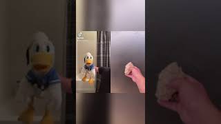 Donald Ducc Doesnt Understand