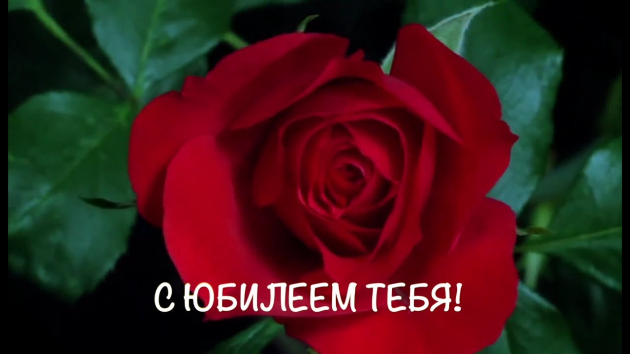 Стих про светоотражающие элементы Стих про светоотражающие элементы