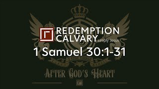 1 Samuel 30:1-31