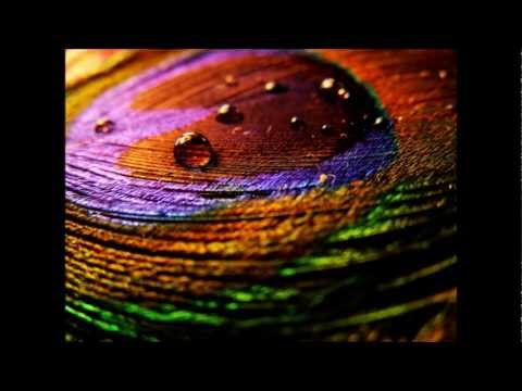 Snehithane Theme from Alaipayuthey Sathiya