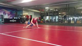 Animalflow workout