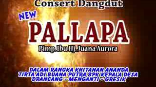 Palapa geri