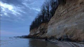 Finding Fossils On A Beautiful Day Calvert Cliffs Fossil Hunt