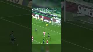 N0XDfa4mjLo Video Image