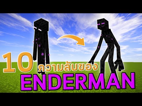 10 ความลับของ Enderman ที่คุณอาจยัง ไม่รู้ ?! minecraft