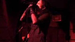 Watch System Syn All The Human Things video
