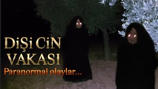 Di̇şi̇ Ci̇ni̇n Evi̇ni̇ Bulduk Onunla Konuştuk Paranormal Olaylar