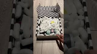 Unboxing January Becauseracecarbox #short