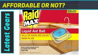 Raid Max Liquid Ant Bait The Best Solution For Ant Control