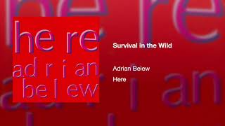 Watch Adrian Belew Survival In The Wild video