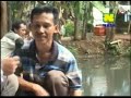 image Rahasia Mempercepat Panen Ikan Lele