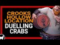 Crooks Hollow Riddle | Duelling Crabs Location | Sea of Thieves Guide