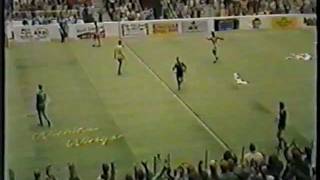 N2PaLStwUW4 Video Image