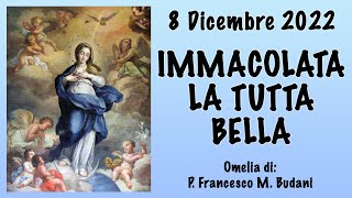 Omelia - IMMACOLATA LA TUTTA BELLA - P. Francesco M. Budani, FI