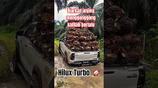 Hilux Turbo, Stutuu..