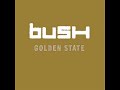 Bush
