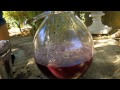 IHL 2012 Winemaking