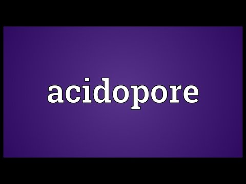 Header of acidopore