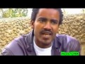 Ethiopia Guraga Music 2014.mp4