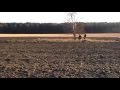Wykopując historię #1 - Marne początki