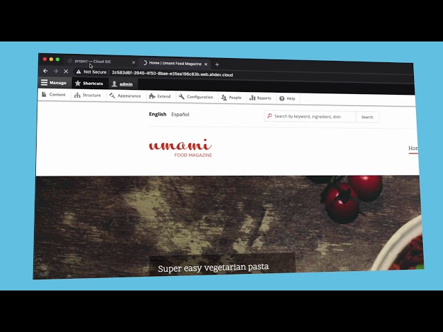 Watch Drupal Cloud: Acquia Cloud IDE on YouTube.