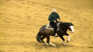 Spooks Gotta Whiz - 2014 Horse of Honor