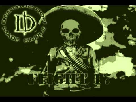 Flight 17 Video
