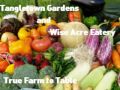 Tangletown Gardens and Wise Acre Eatery