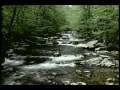 Great Smoky Mountains National Park DVD Postcard