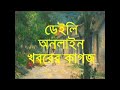 classical movie