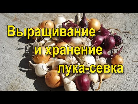 С какого возраста ребёнок сидит самостоятельно С какого возраста ребёнок сидит самостоятельно