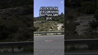 Mermi Gibi